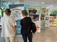 Exposició al vestíbul de l'Hospital Santa Caterina