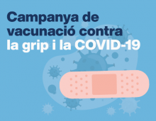 Cartell de la campanya de la grip