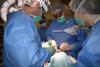 Cirurgians plàstics durant una intervenció quirúrgica a l'Hospital Santa Caterina